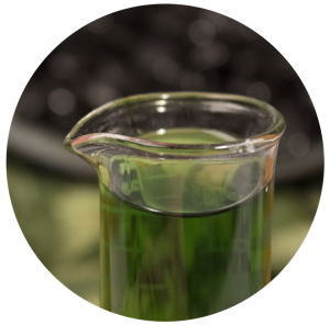 sielixir (Medium)
